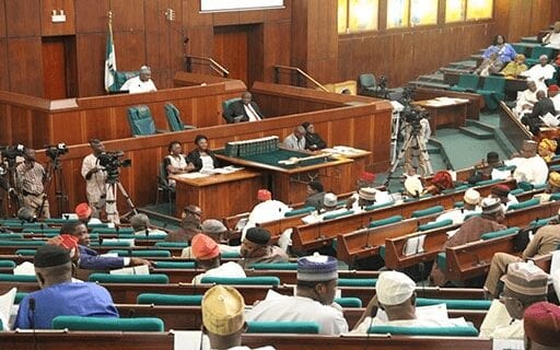 Reps reject electronic voting for 2019 Election