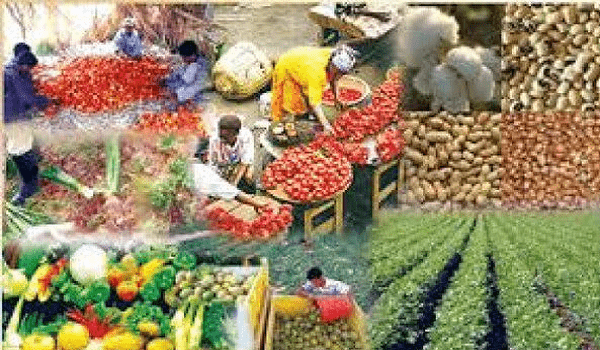 Nigeria, others spend $35b yearly on food imports – AfDB