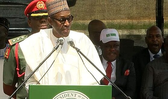 Buhari Commissions Rice Seed Seedling Facility in Cross Rivers State