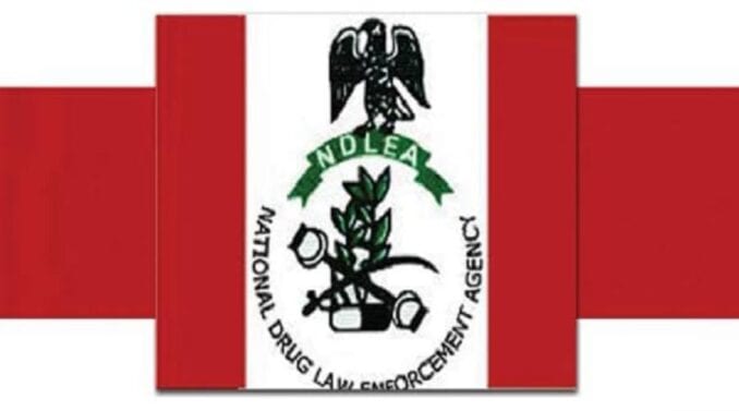 ndlea recruitment