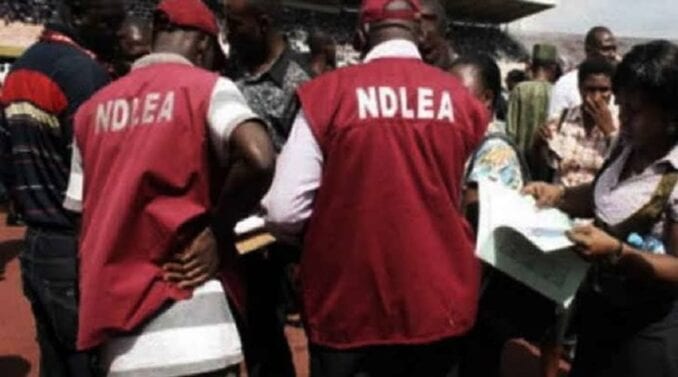 ndlea recruitment