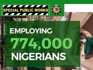 Categories of Special Public Works Programmes