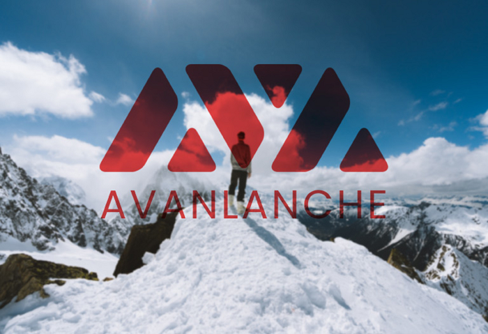 Avalanche Price Surges to Multi Month High 1