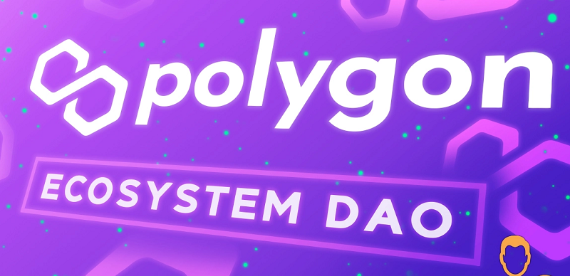 DAO Features for Polygon MATIC is almost ready