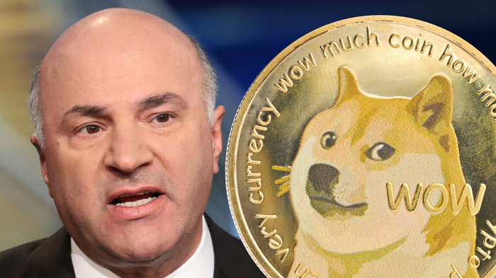 Shark Tanks Kevin OLeary Wont Invest in Dogecoin