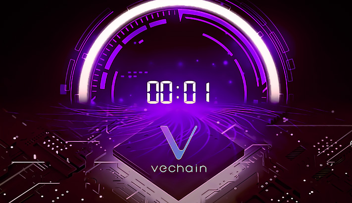 The Countdown to the Block 10000000 on Vechain Mainnet Starts
